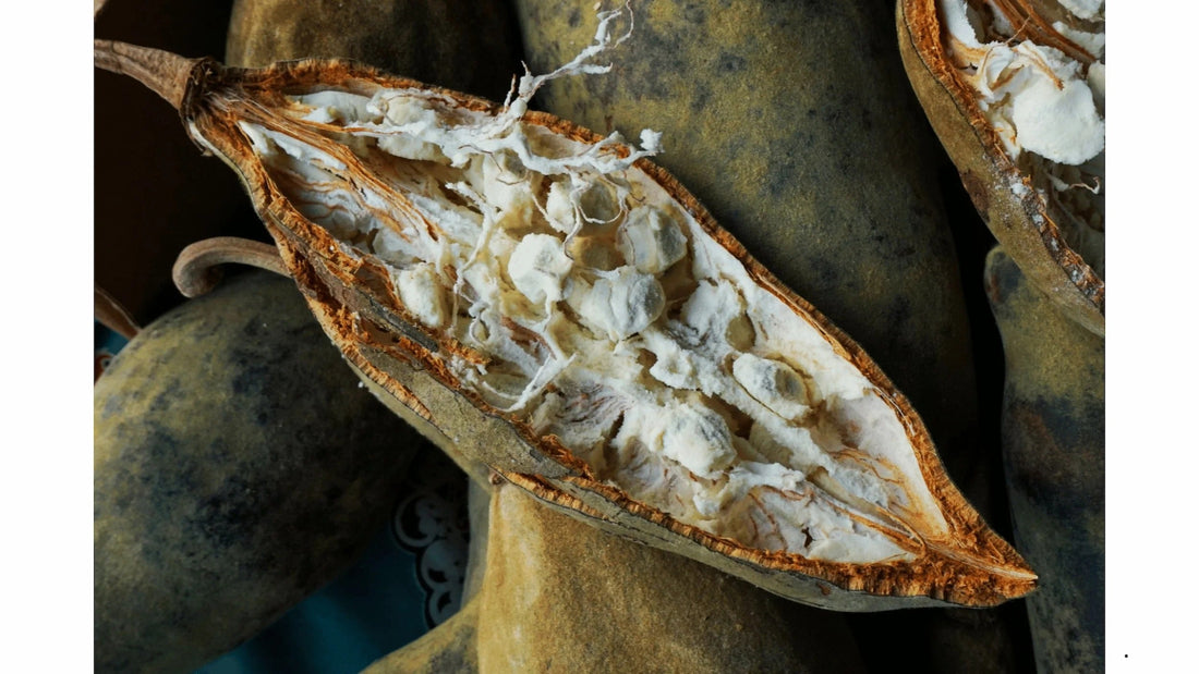 The Benefits of Baobab