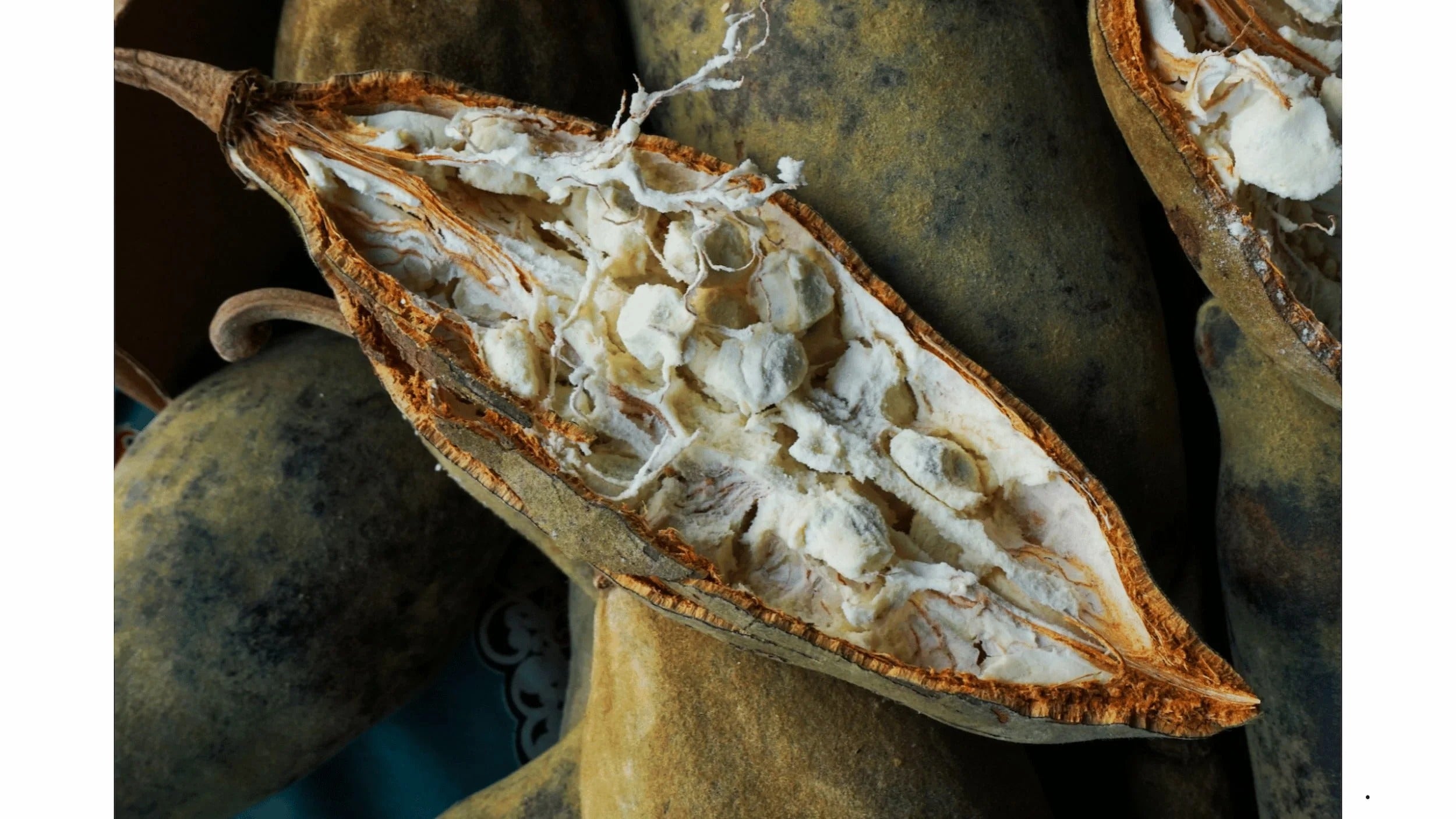 The Benefits of Baobab